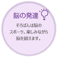 人間の 脳の発達